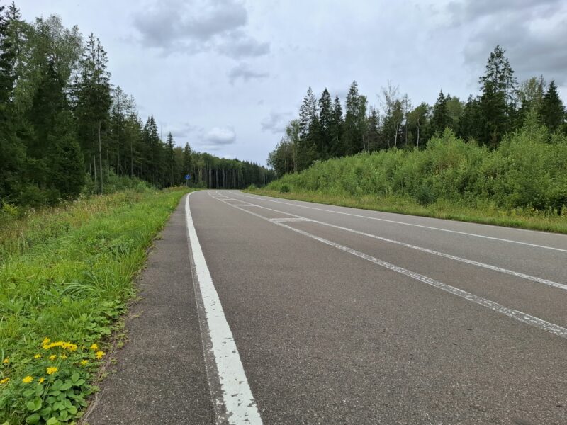 Дорожки в парке Парк Патриот, состояние на 22 августа 2025 по отзыву, фото 2. 